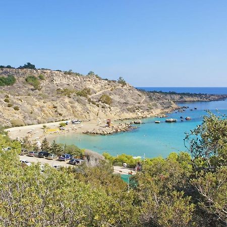איה נאפה Villa Paradisia מראה חיצוני תמונה
